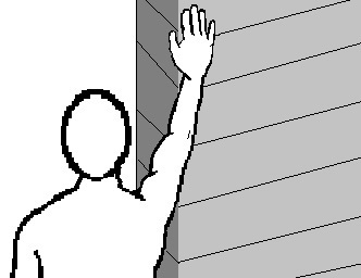 a1.jpg