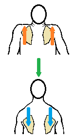 a3.png