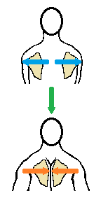 a4.png