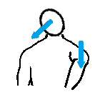 a5.png