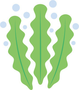 海藻