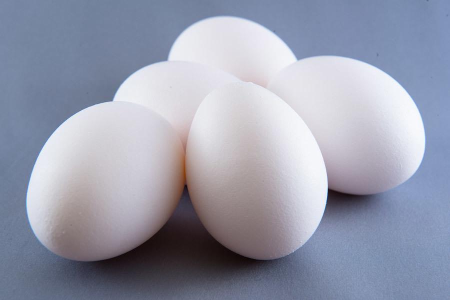 egg