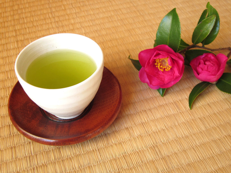 緑茶
